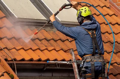 Démoussage et hydrofuge de toiture à Manteyer
